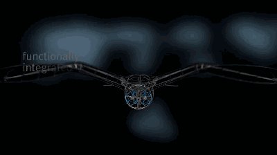 干掉人类的会是它们吗?2019全球最强9大超级仿生机械!