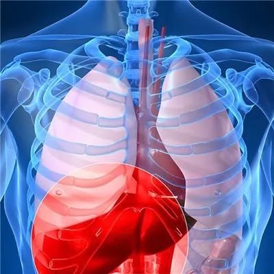 甲肝减毒活疫苗可以补打吗