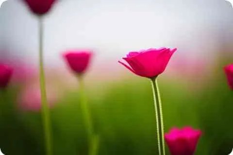 一般马桶的价格是多少 不同价位的马桶品牌推荐