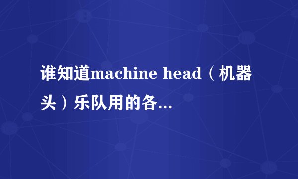 谁知道machine head（机器头）乐队用的各是什么牌子的电吉他，贝司，鼓？音箱和效果器都是什么