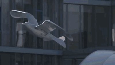 干掉人类的会是它们吗?2019全球最强9大超级仿生机械!