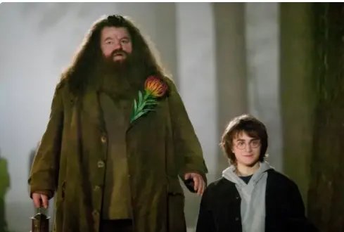 哈利波特海格扮演者去世，为何JK罗琳说他是个天才？