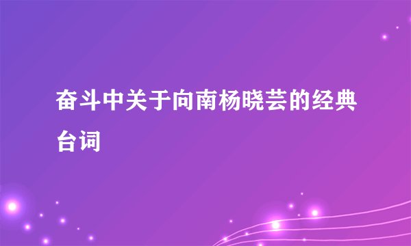 奋斗中关于向南杨晓芸的经典台词