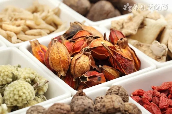 什么是补气的食物