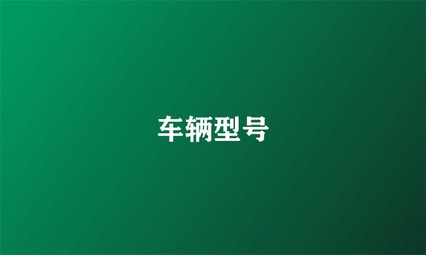 车辆型号