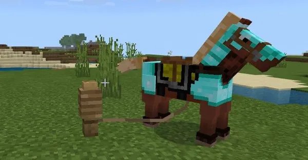 我的世界马怎么栓住