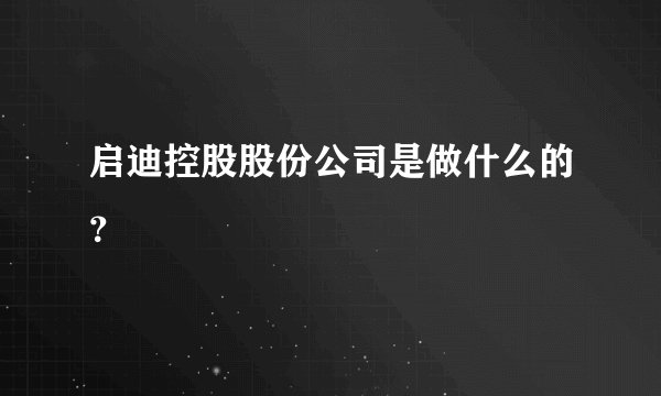 启迪控股股份公司是做什么的？