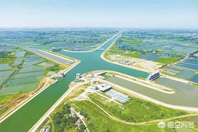 上联:春鸟夏鸣秋虫冬去,下联怎么对?