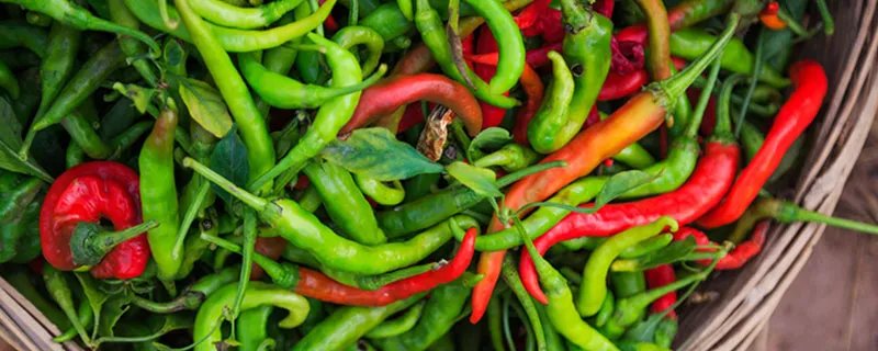 辣椒辣手了怎么办 切辣椒后手很辣怎么办