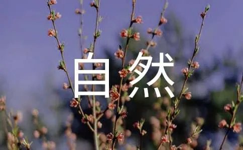 感受自然作文