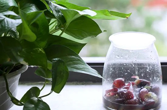 葡萄酒的制作方法