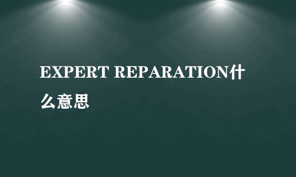 EXPERT REPARATION什么意思