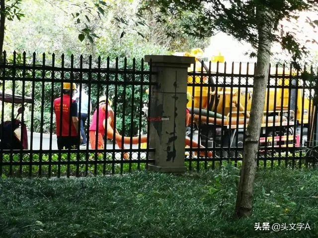 来女士到底怎么失踪的