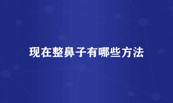现在整鼻子有哪些方法