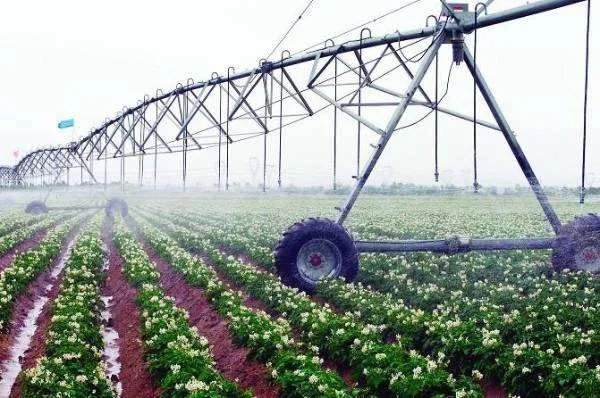 以色列农业有哪些是值得我们国家借鉴学习的地方?