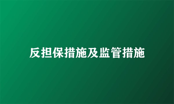 反担保措施及监管措施