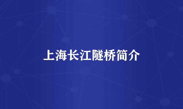 上海长江隧桥简介