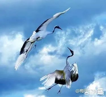 云南大山包景色如何，你怎么评价？