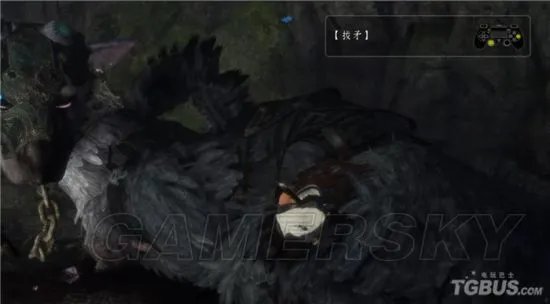 《最后的守护者》图文攻略 全章节图文流程攻略