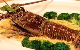 澳洲龙虾多少钱一斤?澳洲龙虾价格