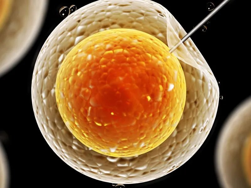 人工受精费用是多少