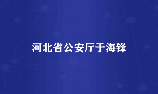 河北省公安厅于海锋