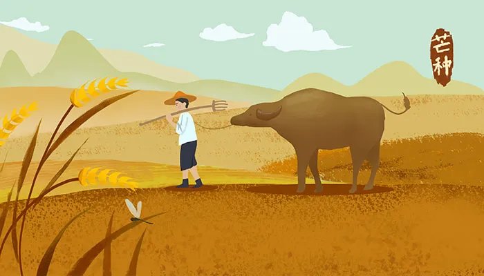 关于芒种的诗句有哪些