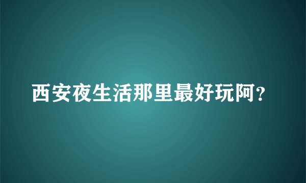 西安夜生活那里最好玩阿？