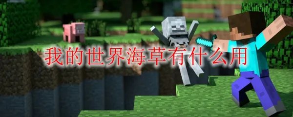 我的世界海草有什么用