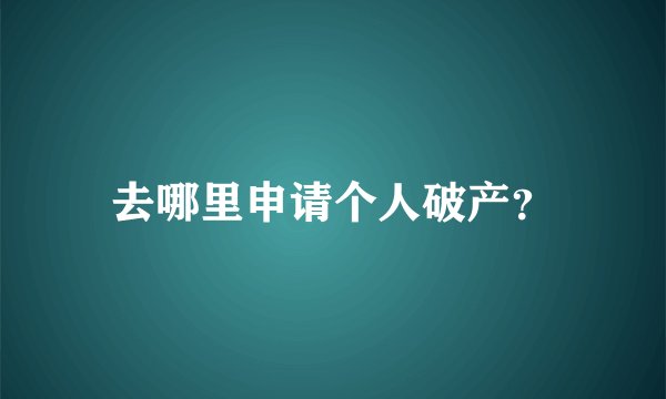 去哪里申请个人破产？