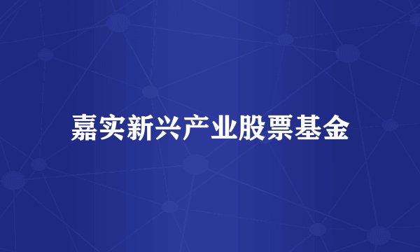 嘉实新兴产业股票基金