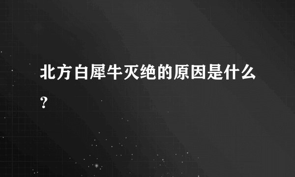 北方白犀牛灭绝的原因是什么？