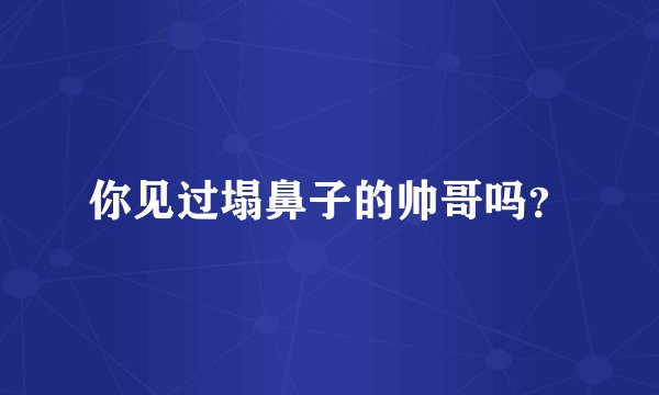 你见过塌鼻子的帅哥吗？