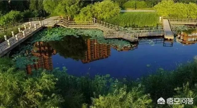 哈尔滨群力新区有哪些公园值得推荐?为什么?