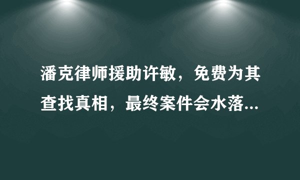 潘克律师援助许敏，免费为其查找真相，最终案件会水落石出吗？