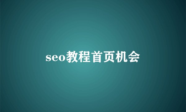 seo教程首页机会