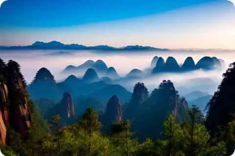 喜欢羊驼是什么意思?