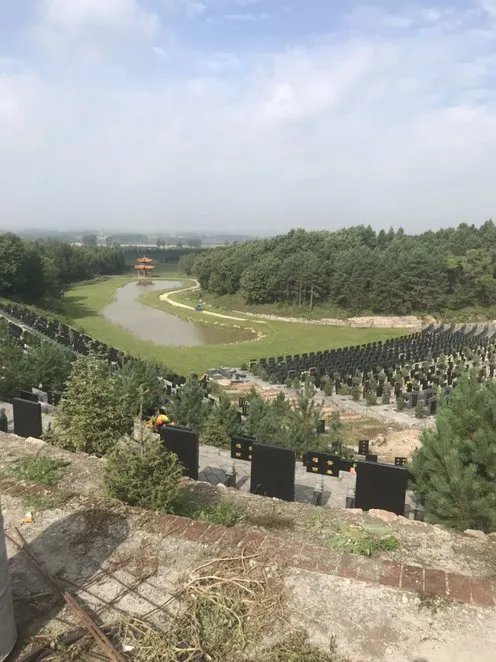 上海理工大学专业排名