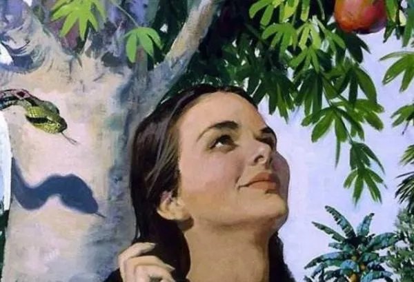 eve这个名字有什么含义么