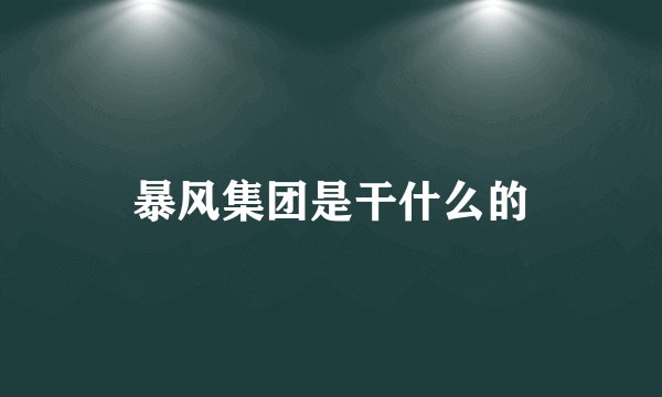暴风集团是干什么的