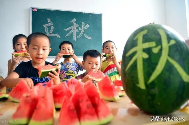 今日立秋，农村老人常说的“啃秋”是什么意思？