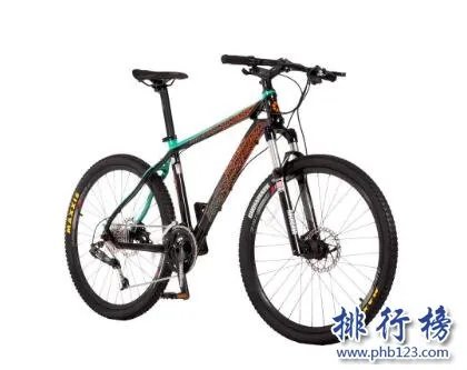 山地自行车十大品牌排行榜:凤凰、永安上榜 第4美国品牌