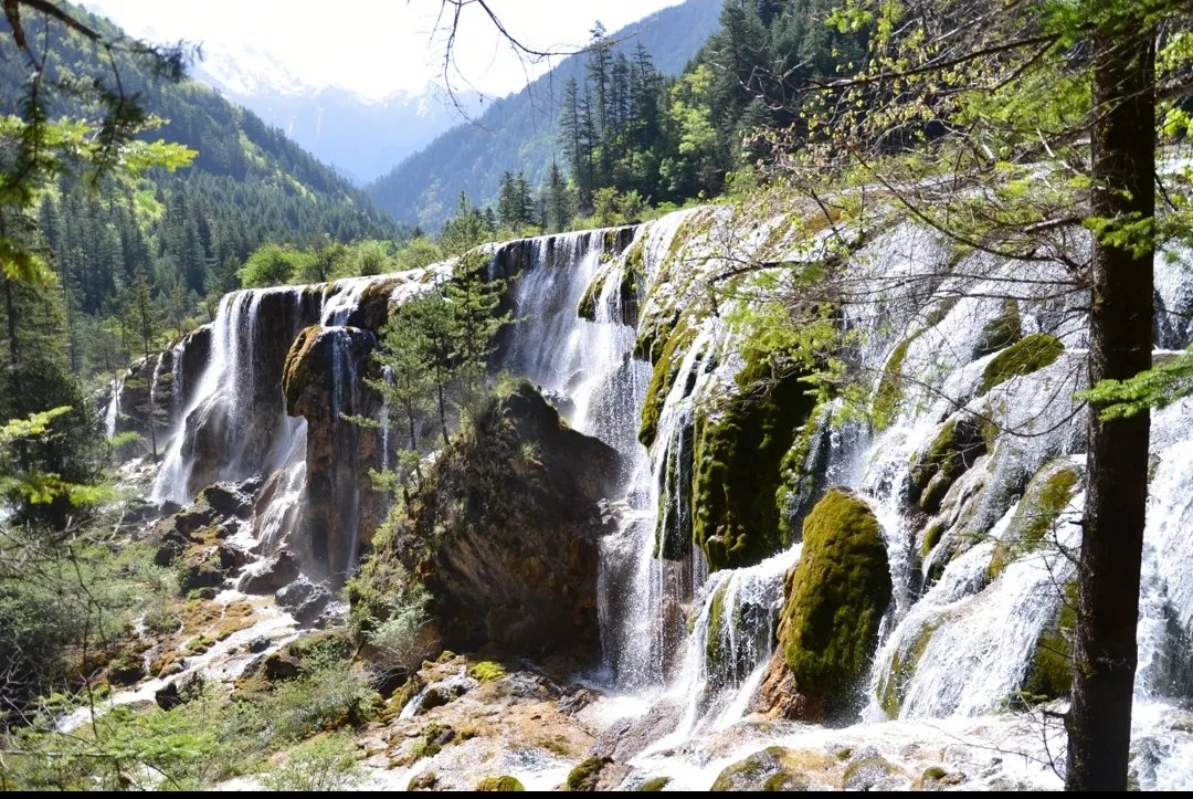 千元手机哪款好用