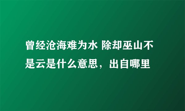 曾经沧海难为水 除却巫山不是云是什么意思，出自哪里