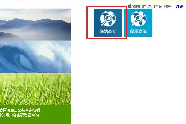 中创场站提箱单查询