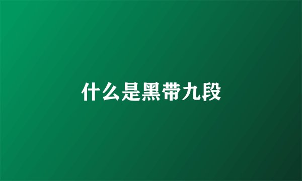 什么是黑带九段