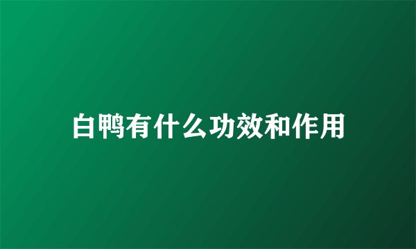 白鸭有什么功效和作用