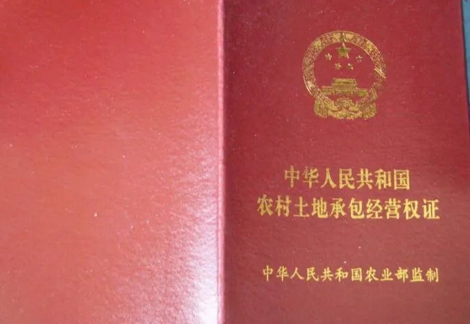 他权证是什么意思