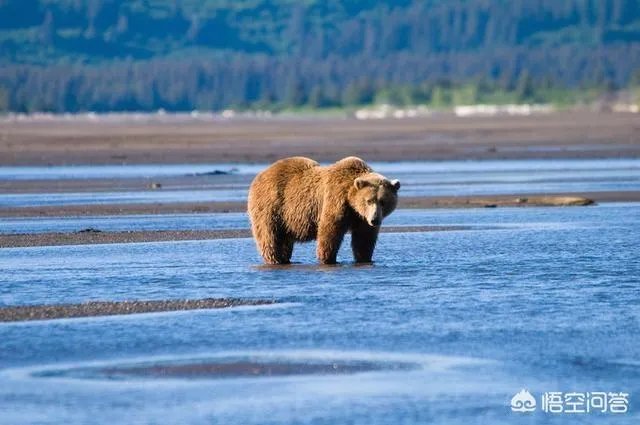 阿拉斯加在地图上的位置