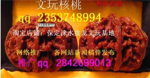 林永健主演战争片叫张二牛的是什么电视剧